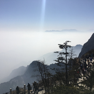 日本一区二区三区精品
